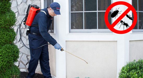 Yakakent Kemirgen İlaçlama böcek ilaçlama ve haşere kontrolü — ilaclama-tr.com